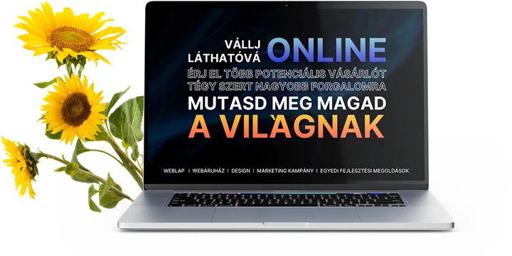 Vegye fel velünk a kapcsolatot új honlapja, webáruháza elkészítéshez